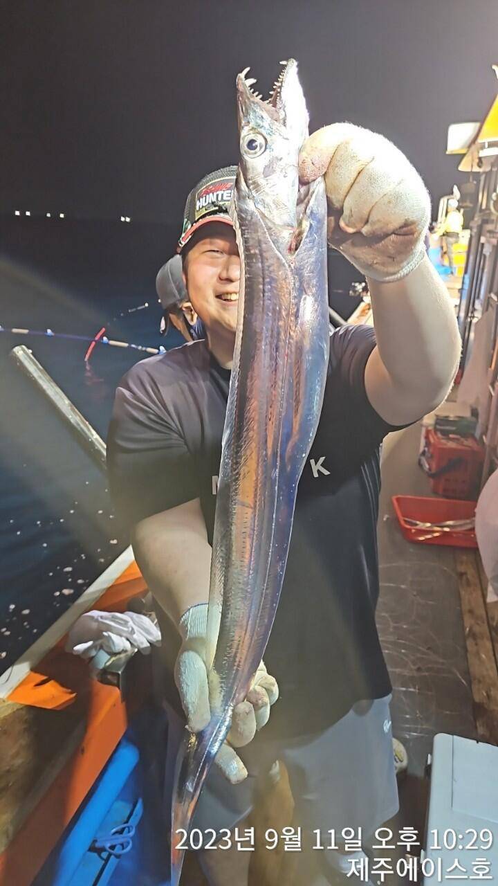제주에이스호11일쿨러가득 갈치조황입니다문의0103548347201038603472 (조황조행기 - 바다선상조황)