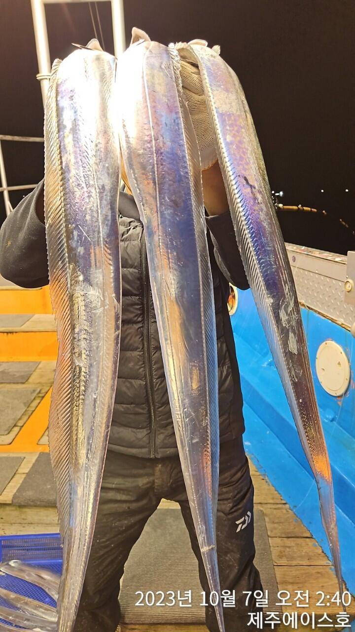 제주에이스호6일갈치조황입니다문의0103548347201038603472 (조황조행기 - 바다선상조황)