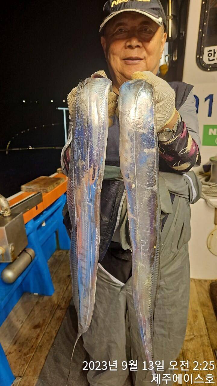 제주에이스호12일씨알굵은갈치조황입니다문의0103548347201038603472전좌석 자동봉돌투승기장착22인승 1… (조황조행기 - 바다선상조황)
