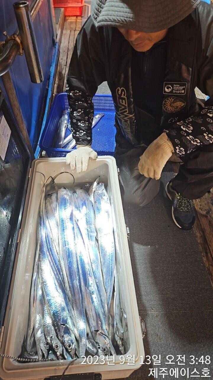 제주에이스호12일씨알굵은갈치조황입니다문의0103548347201038603472전좌석 자동봉돌투승기장착22인승 1… (조황조행기 - 바다선상조황)