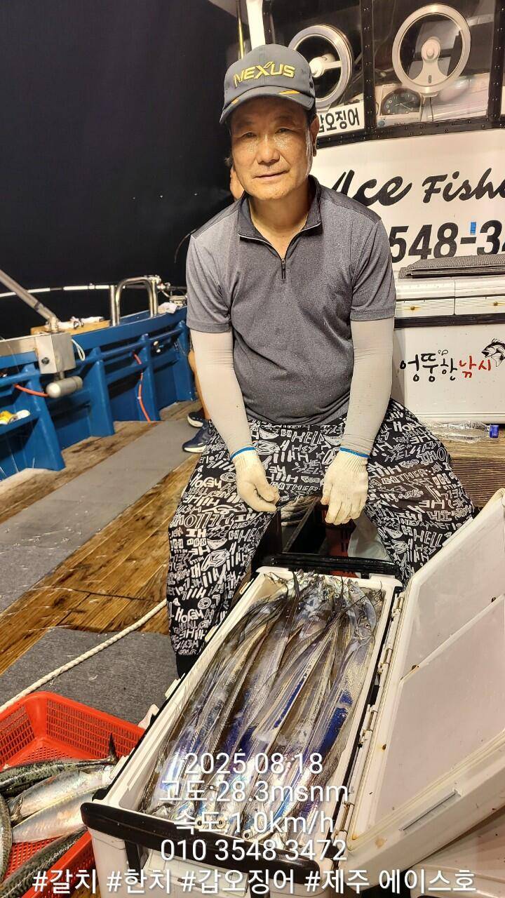 제주에이스호8월17일제주갈치조황입니다010 35483472010 3860 3472977톤22인승14석운 (조황조행기 - 바다선상조황)