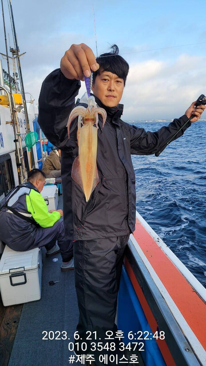 제주에이스호21일 한치 한치 조황입니다 (조황조행기 - 바다선상조황)