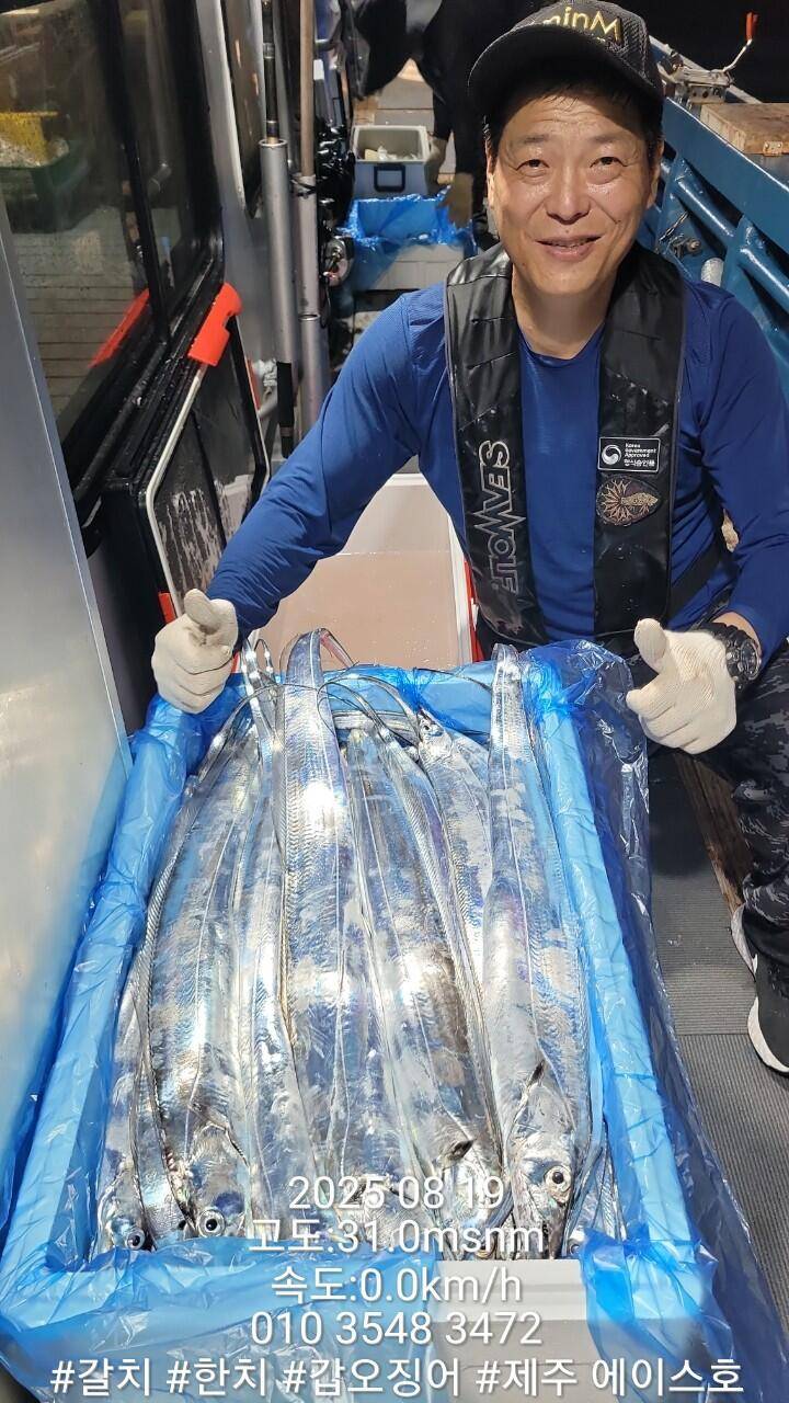 제주에이스호8월17일제주갈치조황입니다010 35483472010 3860 3472977톤22인승14석운 (조황조행기 - 바다선상조황)