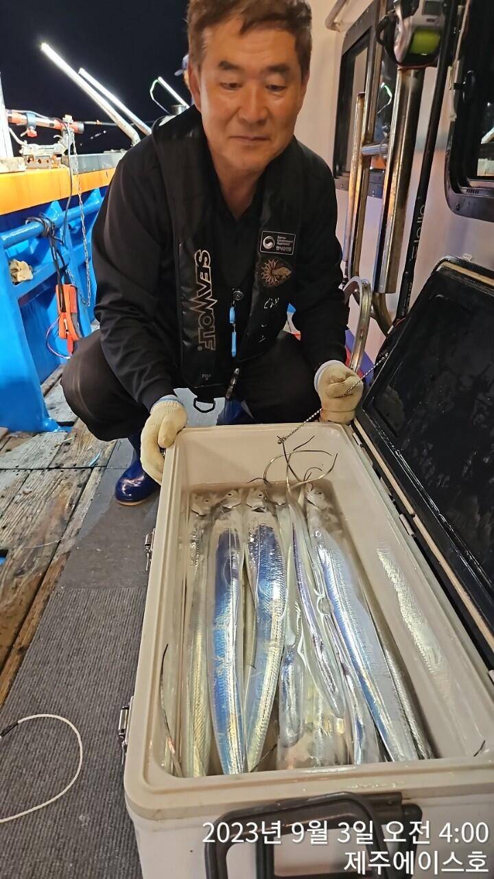제주에이스호2일쿨러가득갈치조왕입니다문의0103548347201038606472 (조황조행기 - 바다선상조황)