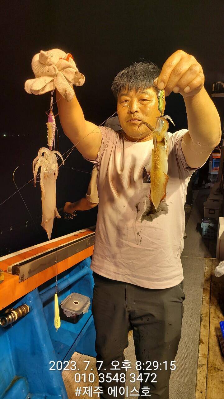 제주에이스호7월7일 한치조황입니다 (조황조행기 - 바다선상조황)
