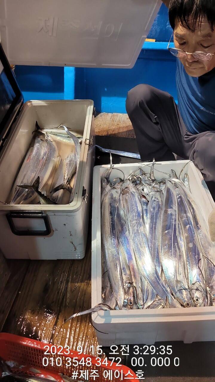제주에이스호14일갈치조황입니다문의 0103548347201038603472 (조황조행기 - 바다선상조황)