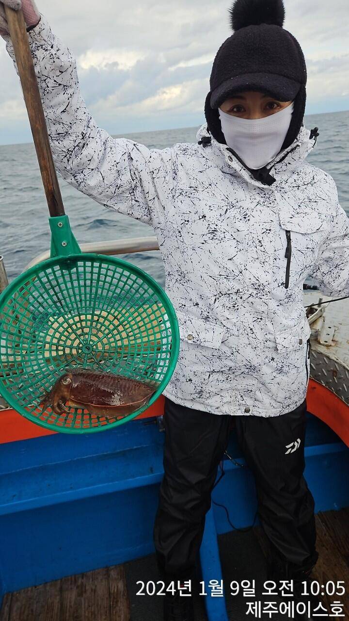 제주에이스호9일갑돌이 조황입니다0103548347201038603472 (조황조행기 - 바다선상조황)