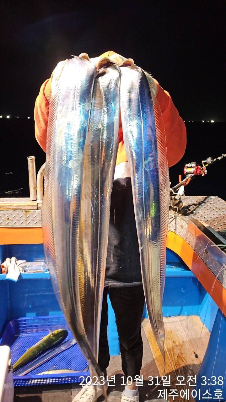 제주에이스호30일대갈치조황입니다문의0103548347201038603472 (조황조행기 - 바다선상조황)