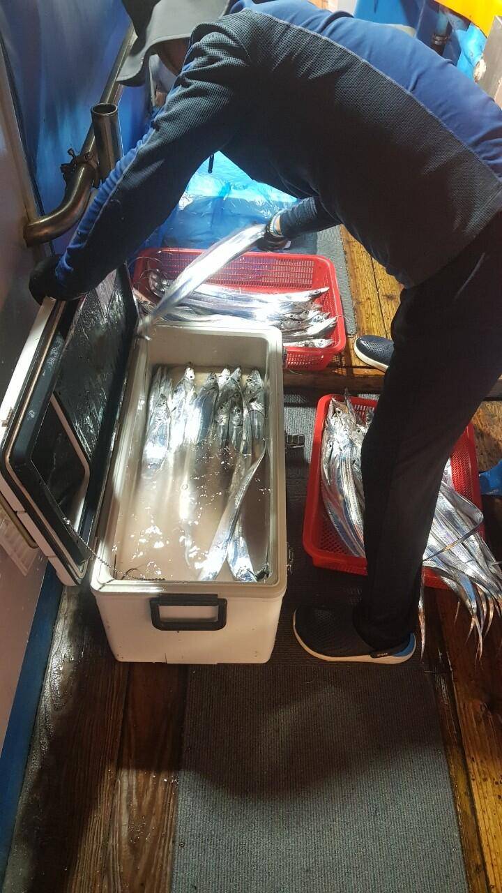 제주에이스호22일대갈치사냥다녀왔습니다전좌석봉동투승기장착무료이용문의0103548347201038603472 (조황조행기 - 바다선상조황)
