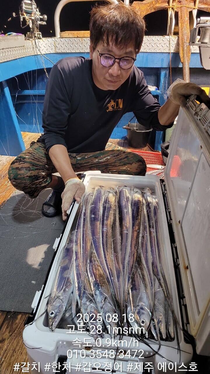 제주에이스호8월17일제주갈치조황입니다010 35483472010 3860 3472977톤22인승14석운 (조황조행기 - 바다선상조황)
