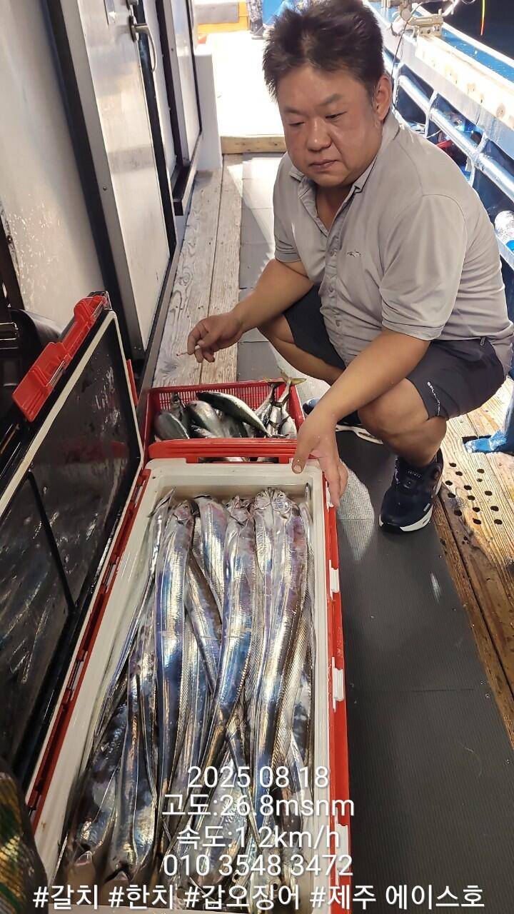 제주에이스호8월17일제주갈치조황입니다010 35483472010 3860 3472977톤22인승14석운 (조황조행기 - 바다선상조황)