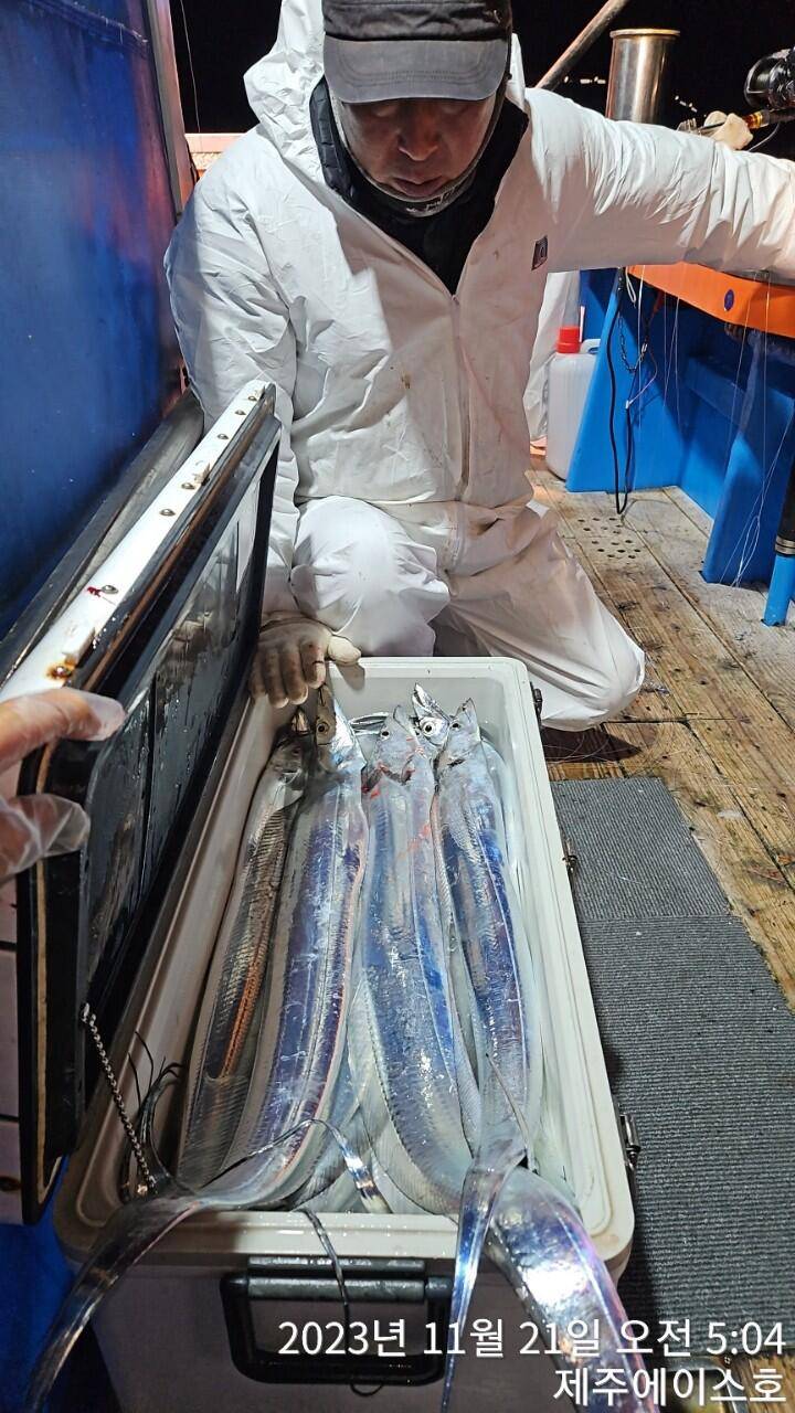 제주에이스호20일갈치조황입니다문의0103548347201038603472 (조황조행기 - 바다선상조황)