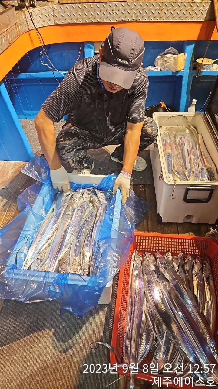 제주에이스호7일조기포장하면서쿨러가득갈치조황입니다문의0103548347201038603472 (조황조행기 - 바다선상조황)