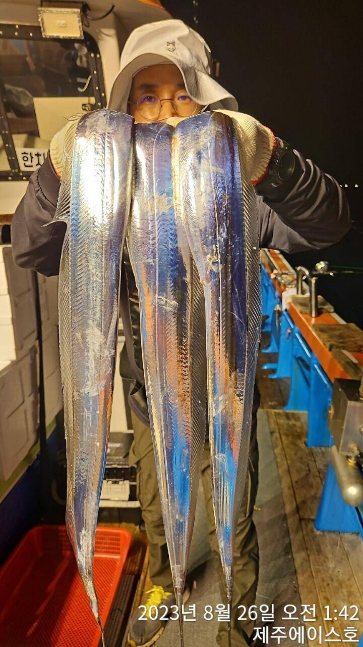제주에이스호25일대갈치사냥다녀왔습니다전좌석봉돌투승기장착무료이용문의0103548347201038603472 (조황조행기 - 바다선상조황)