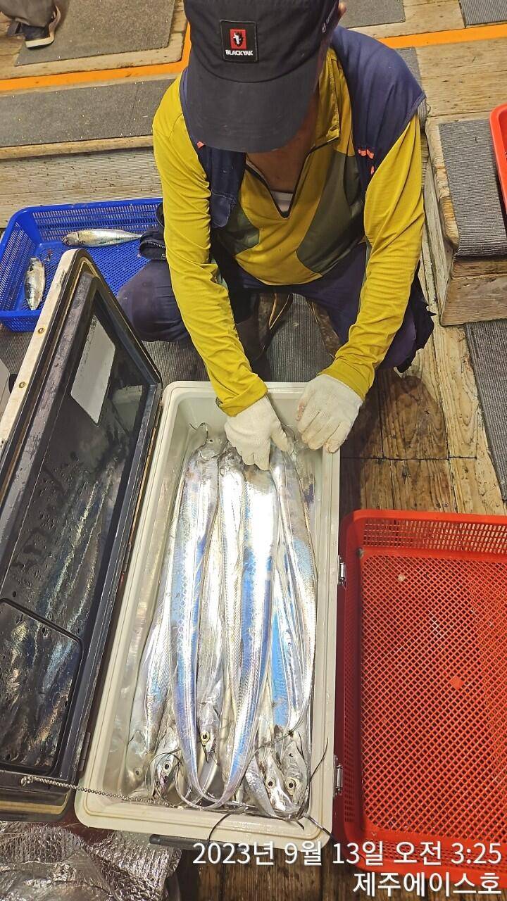 제주에이스호12일씨알굵은갈치조황입니다문의0103548347201038603472전좌석 자동봉돌투승기장착22인승 1… (조황조행기 - 바다선상조황)