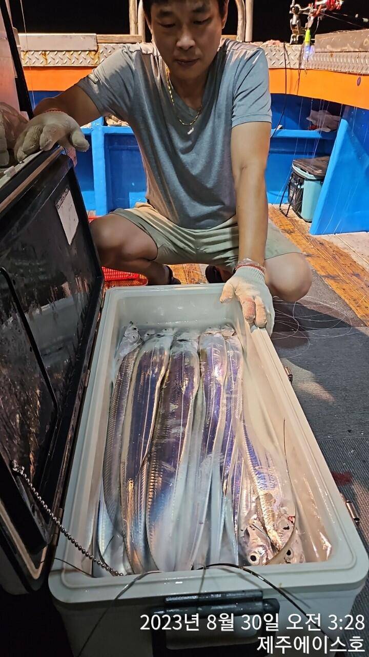 제주에이스호29일갈치조황입니다 문의0103548347201035483472 (조황조행기 - 바다선상조황)