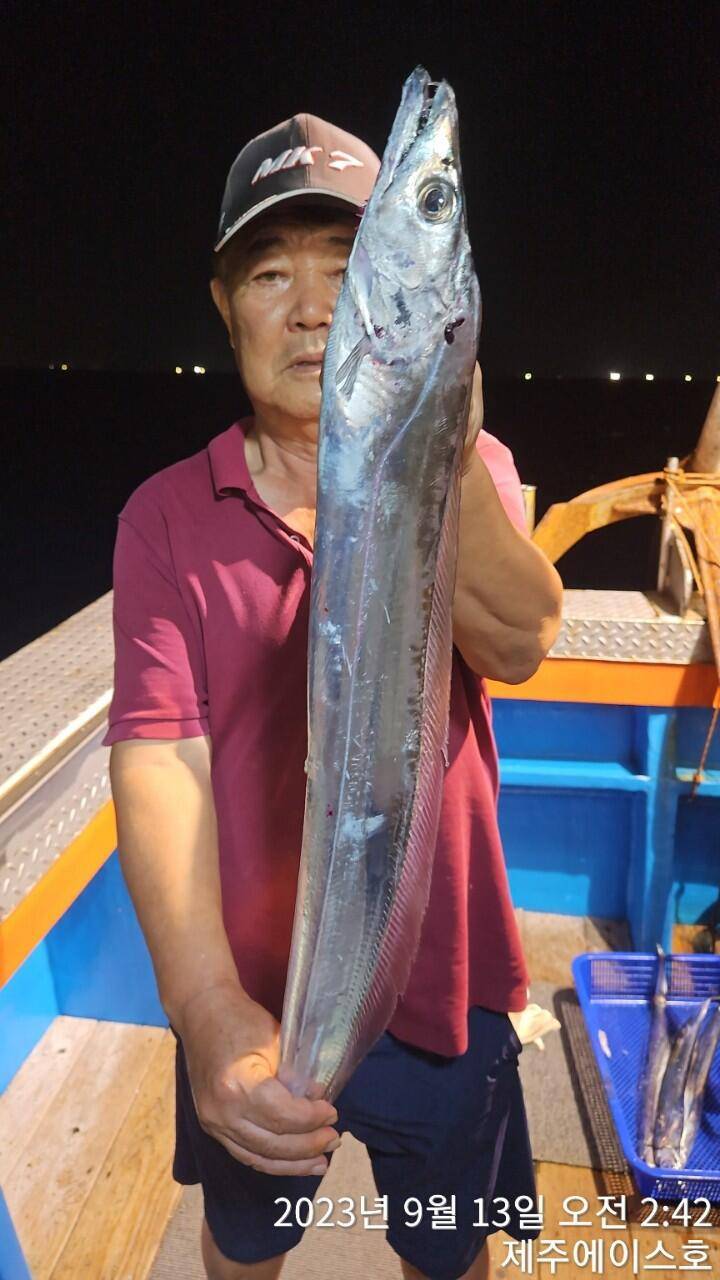 제주에이스호12일씨알굵은갈치조황입니다문의0103548347201038603472전좌석 자동봉돌투승기장착22인승 1… (조황조행기 - 바다선상조황)