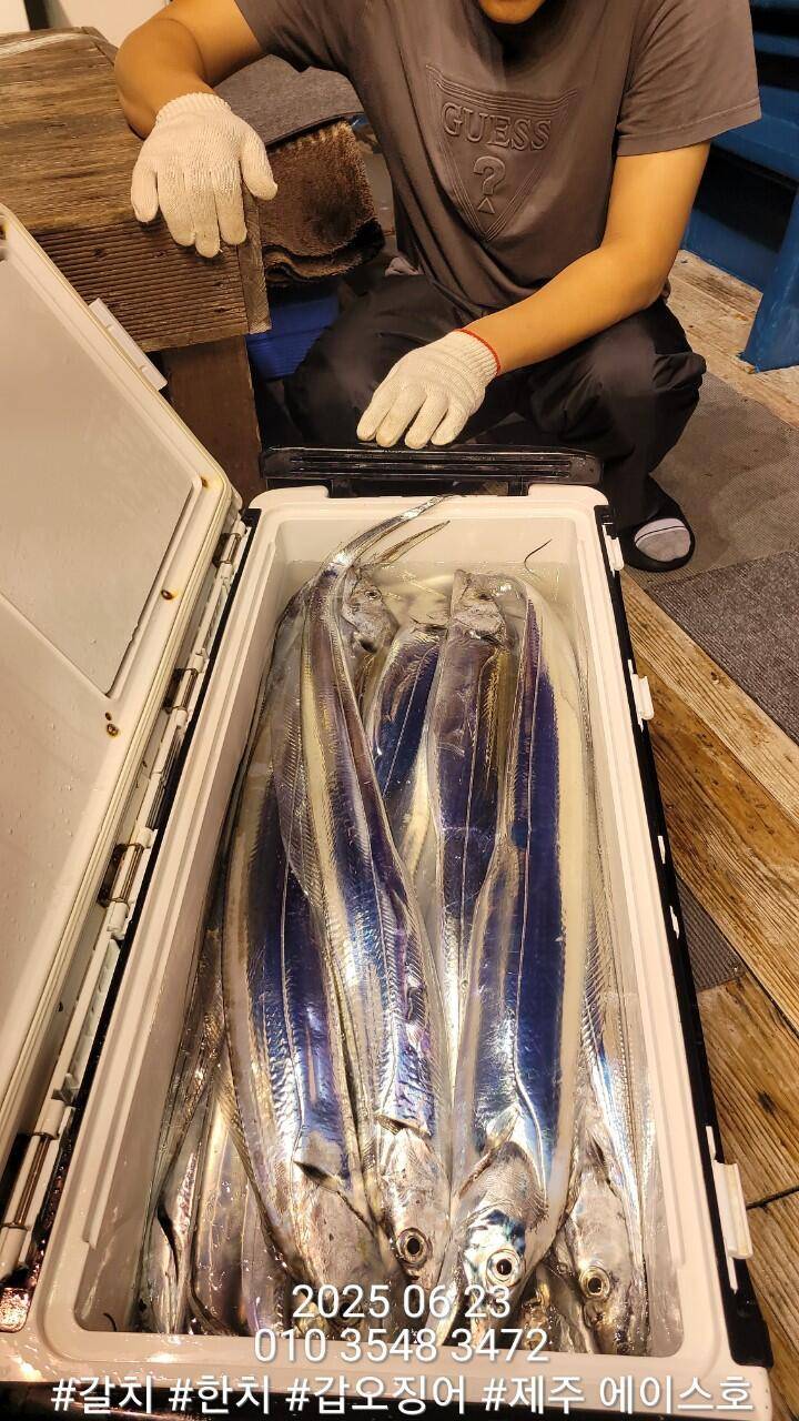 제주에이스호6월22일갈치조황입니다010 35483472010 3860 3472977톤22인승12석운영 봉돌투승기장착 (조황조행기 - 바다선상조황)