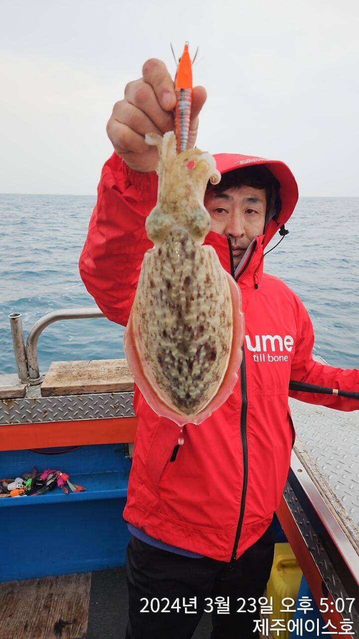 제주에이스호23일갑돌이조황입니다977톤22인승 16석운영 문의0103548347201038603472 (조황조행기 - 바다선상조황)