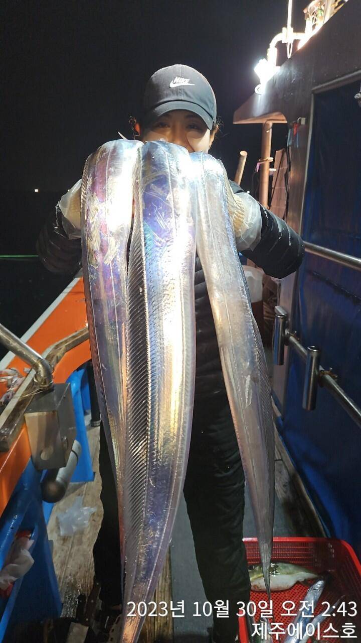 제주에이스호29일씨알좋은갈치조황입니다 문의0103548347201038603472 (조황조행기 - 바다선상조황)