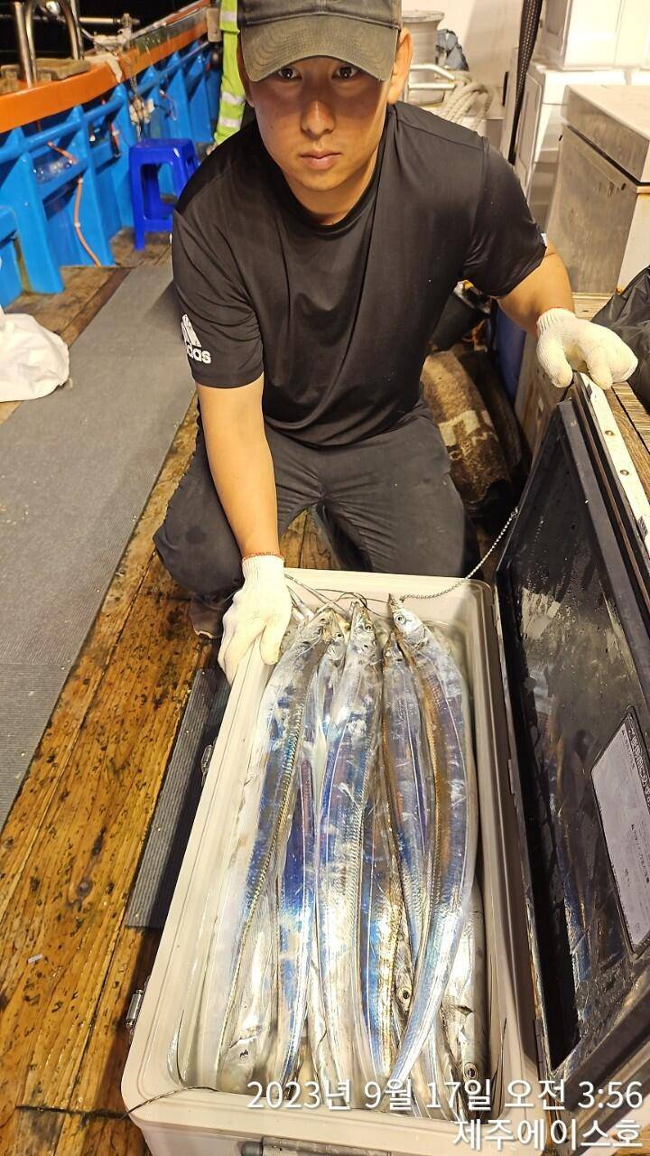 제주에이스호15일쿨러가득갈치 조황이닙다문의0103548347201038603472 (조황조행기 - 바다선상조황)