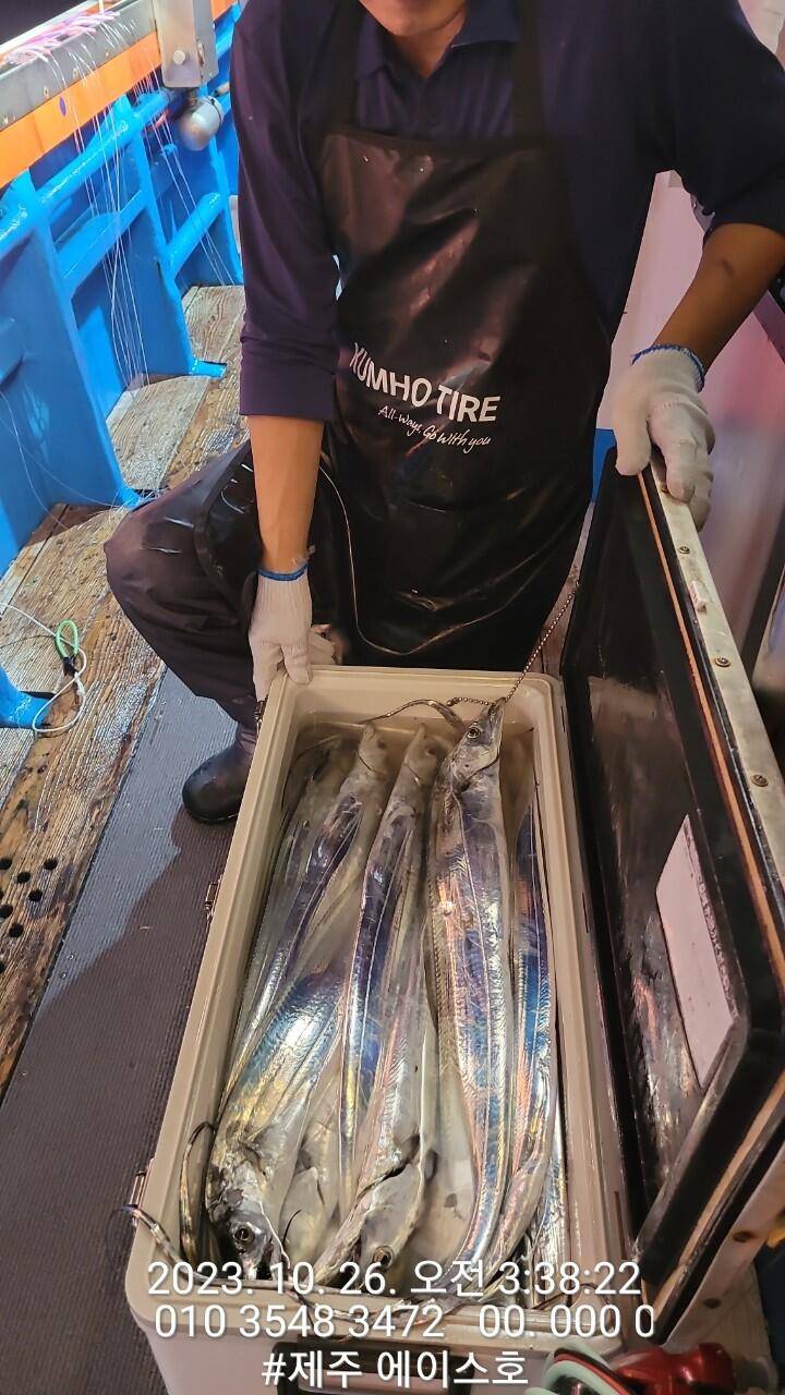 제주에이스호25일씨알좋고 양도만족갈치조황입니다0103548347201038603472 (조황조행기 - 바다선상조황)