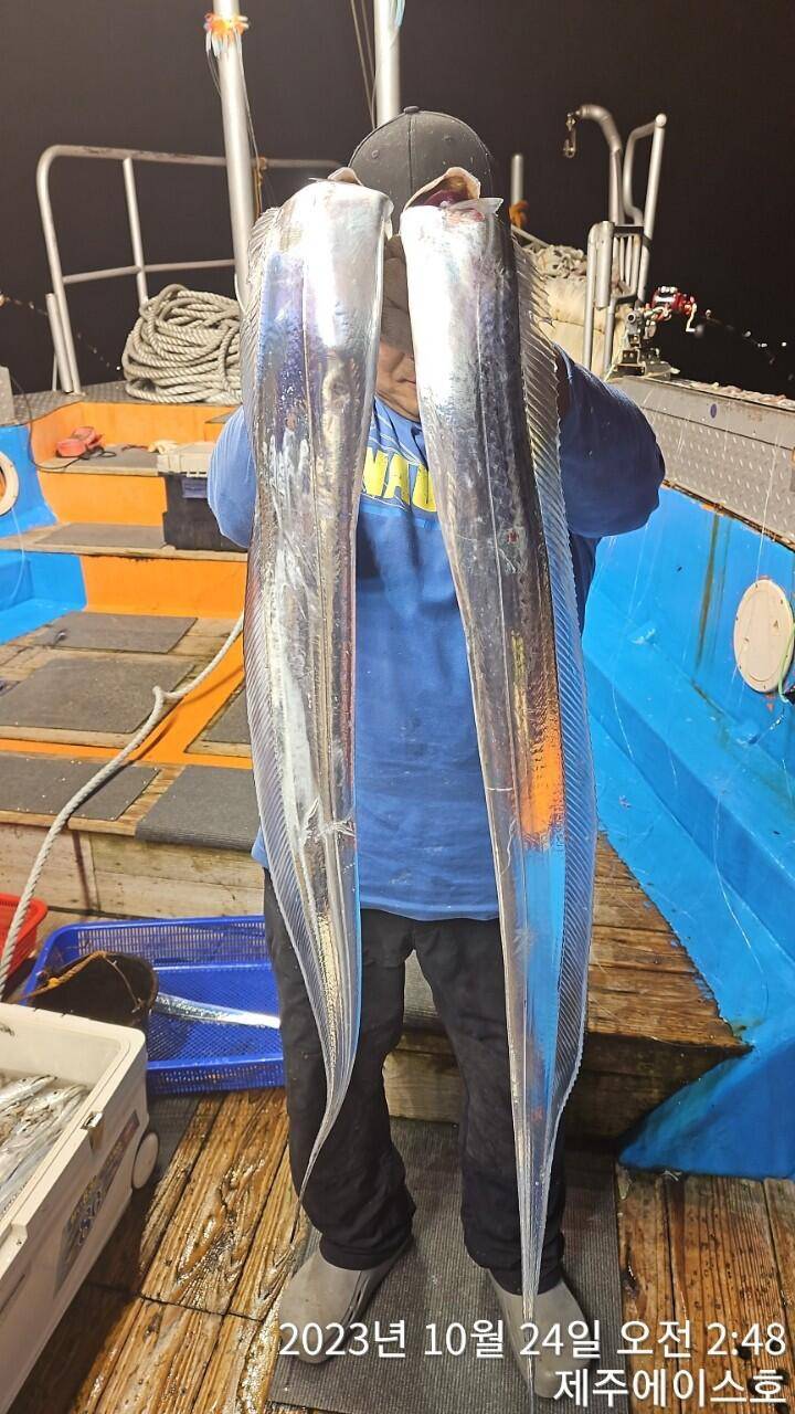 제주에이스호23일갈치조황입니다문의0103548347201038603472 (조황조행기 - 바다선상조황)