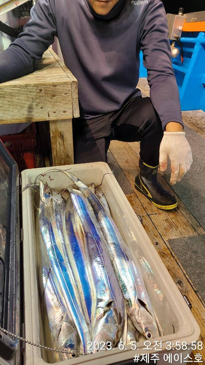 제주에이스호4일대갈치 조황입니다 전좌석 봉돌투승기장착무료이용 (조황조행기 - 바다선상조황)