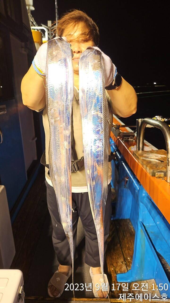 제주에이스호15일쿨러가득갈치 조황이닙다문의0103548347201038603472 (조황조행기 - 바다선상조황)