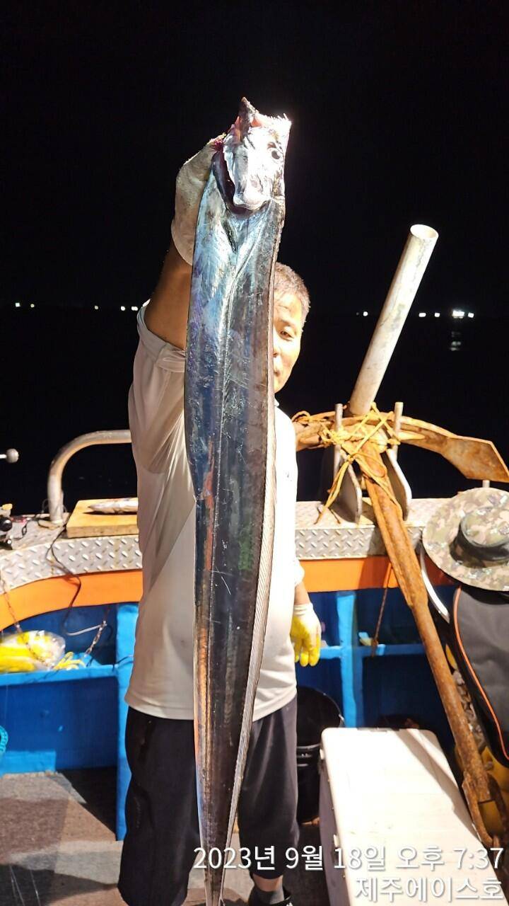 제주에이스호18일오늘도쿨러가득갈치조황입니다 문의0103548347201038603472 (조황조행기 - 바다선상조황)