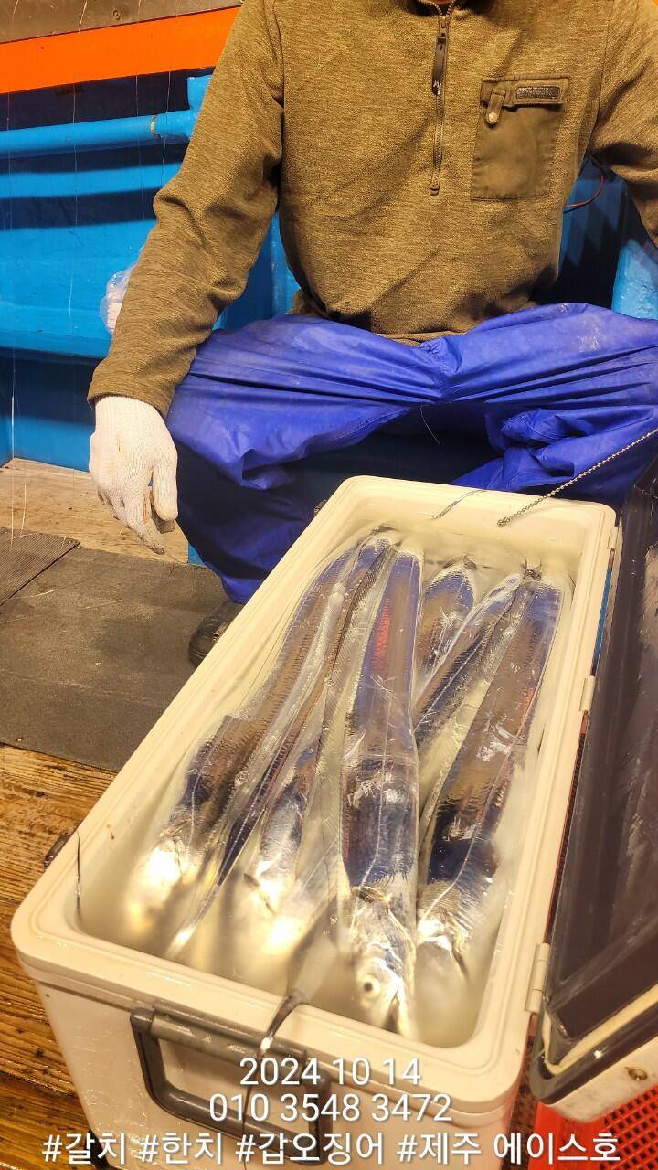 제주에이스호13일대갈치조황입니다문의010 3548 3472010 3860 3472전좌석봉돌투승기장착977톤12석운영 (조황조행기 - 바다선상조황)