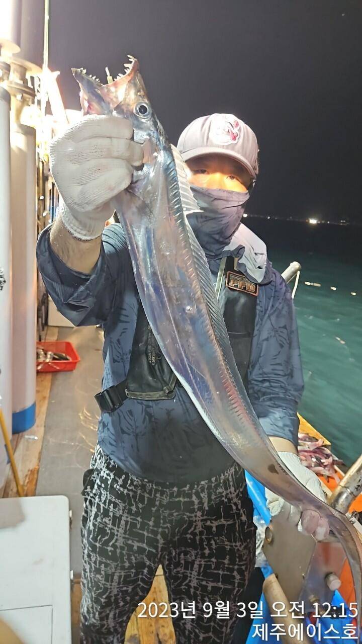 제주에이스호2일쿨러가득갈치조왕입니다문의0103548347201038606472 (조황조행기 - 바다선상조황)