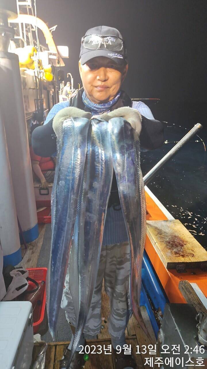 제주에이스호12일씨알굵은갈치조황입니다문의0103548347201038603472전좌석 자동봉돌투승기장착22인승 1… (조황조행기 - 바다선상조황)