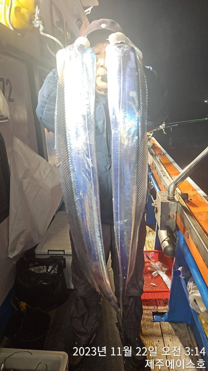 제주에이스호21일갈치조황입니다문의0103548347201038603472 (조황조행기 - 바다선상조황)