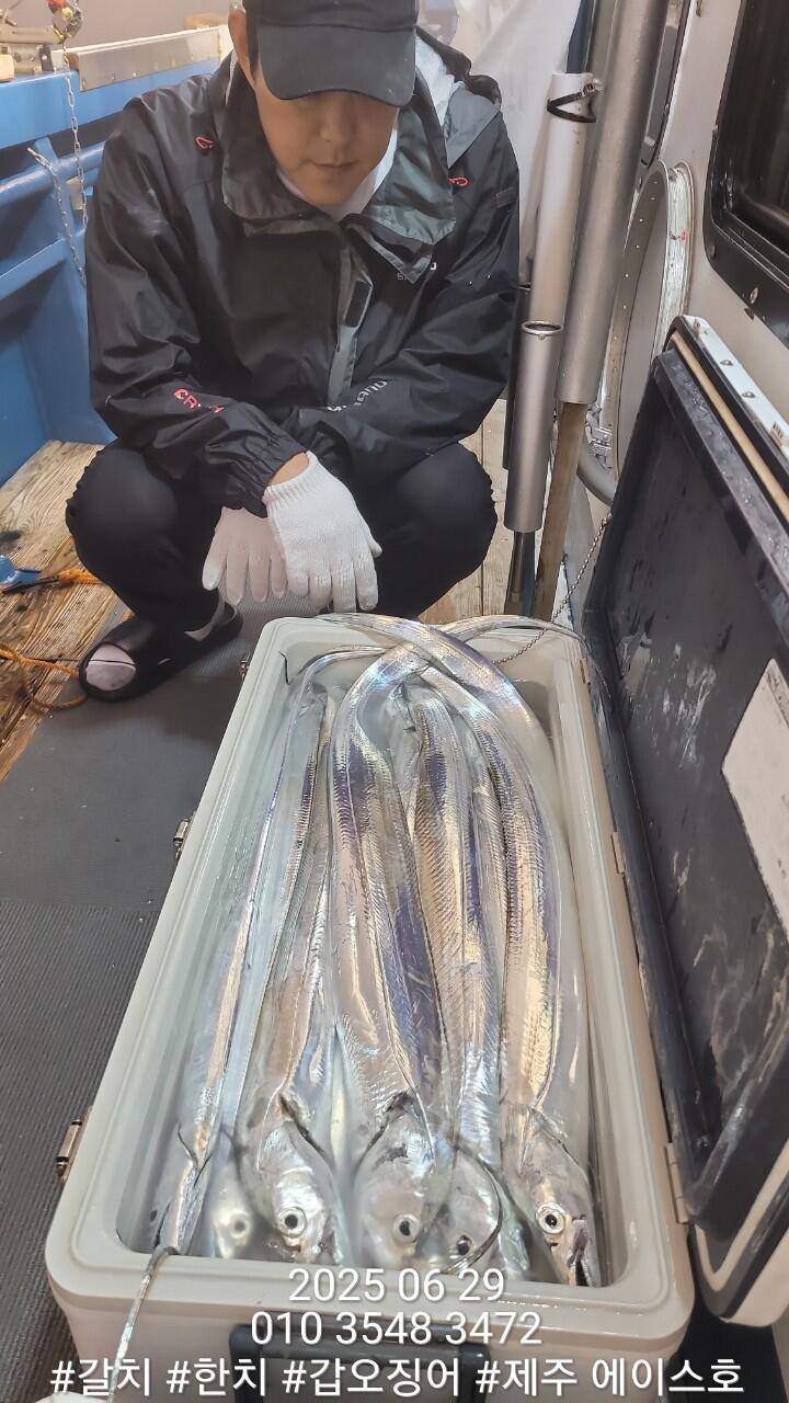 제주에이스호6월28일갈치조황입니다010 35483472010 3860 3472977톤22인승12석운영 봉돌투승기장착 (조황조행기 - 바다선상조황)