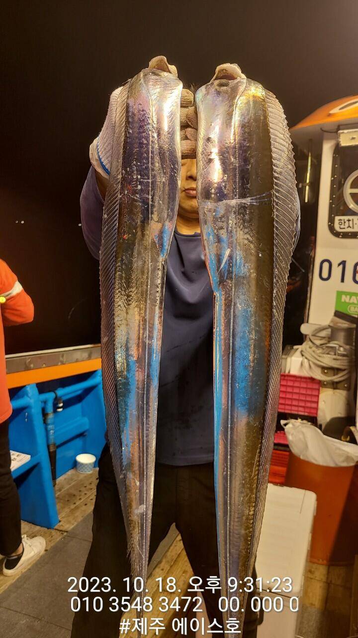 제주에이스호18일씨알좋고 양도많고 갈치조황입니다문의0103548347201038603472 (조황조행기 - 바다선상조황)