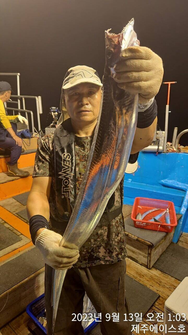 제주에이스호12일씨알굵은갈치조황입니다문의0103548347201038603472전좌석 자동봉돌투승기장착22인승 1… (조황조행기 - 바다선상조황)