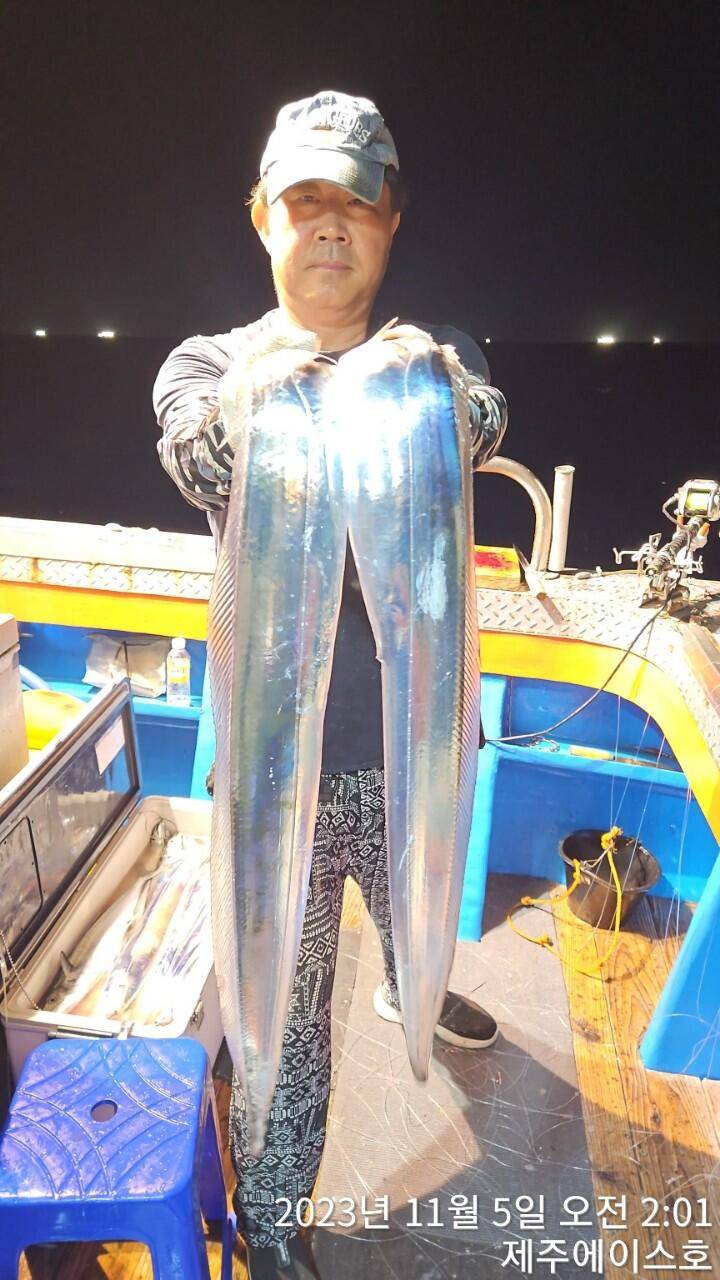 제주에이스호4일씨알굵은갈치조황입니다문의0103548347201038603472 (조황조행기 - 바다선상조황)
