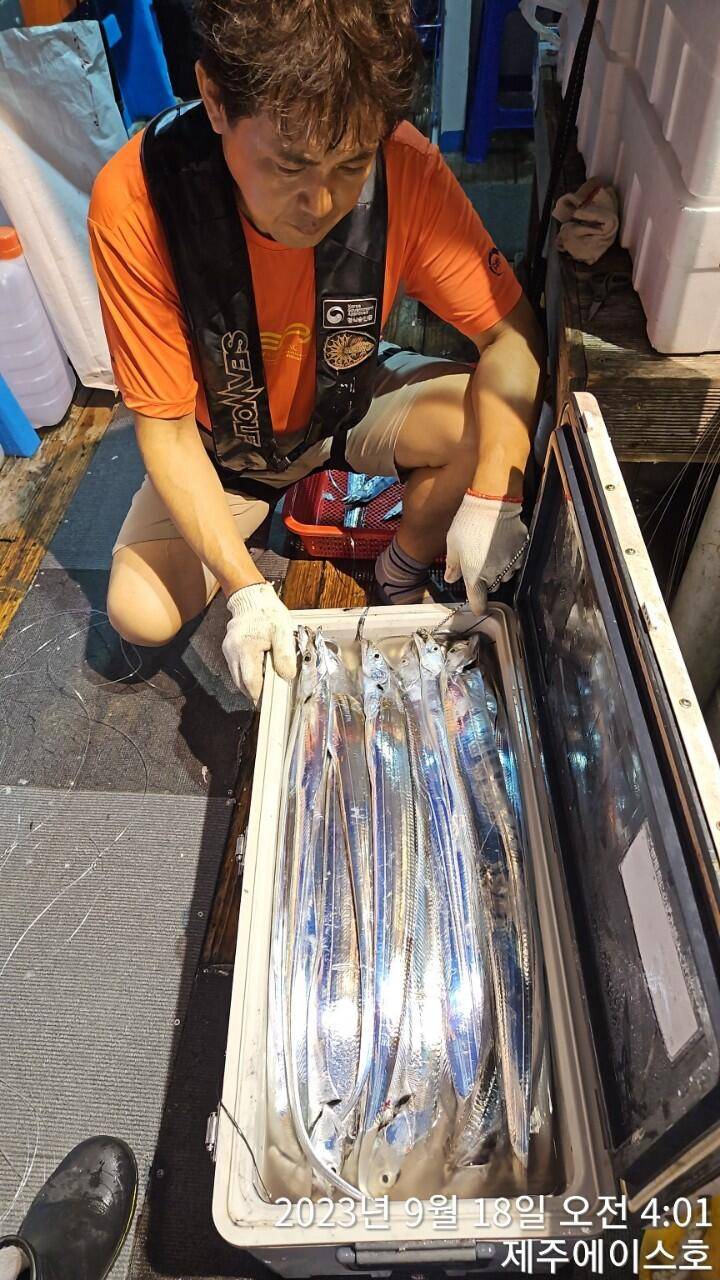제주에이스호17일쿨러가득갈치조황입니다 문의0103548347201038603472 (조황조행기 - 바다선상조황)