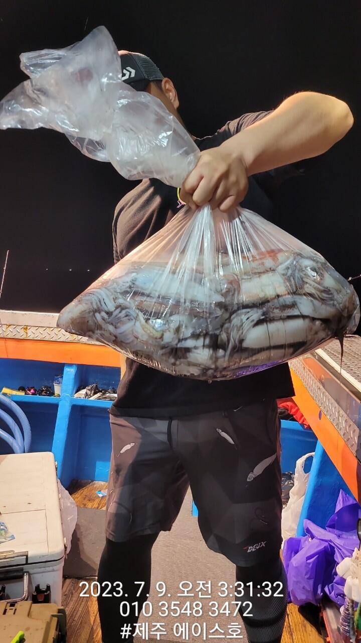 제주에이스호8일한치조황입니다 (조황조행기 - 바다선상조황)