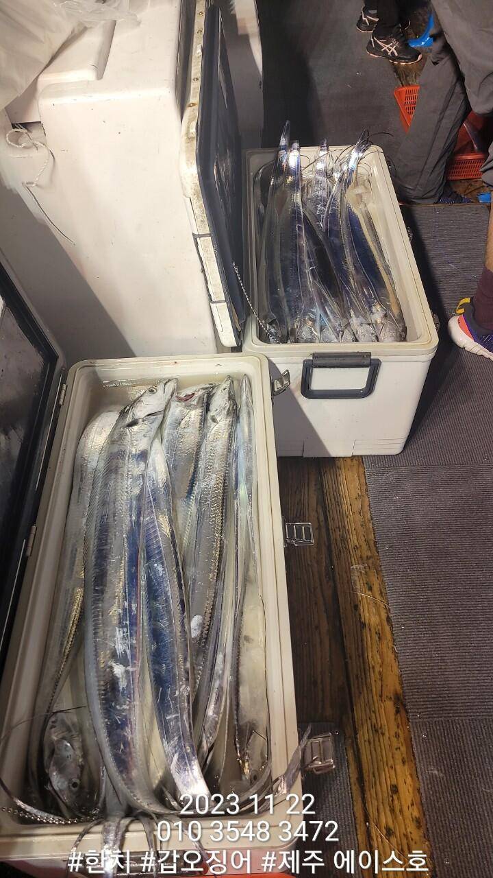제주에이스호21일갈치조황입니다문의0103548347201038603472 (조황조행기 - 바다선상조황)