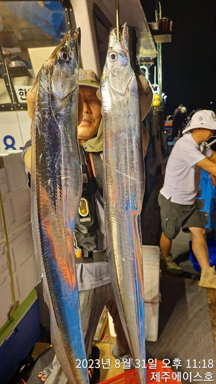 제주에이스호31일전원쿨러가득 갈치조황입니다문의0103548347201038603472 (조황조행기 - 바다선상조황)