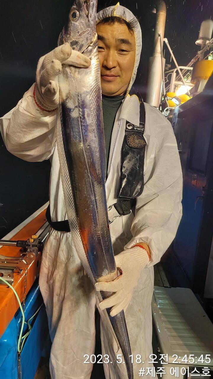 제주에이스호17일 대갈치조황입니다예약문의010 3548 347201038603472 (조황조행기 - 바다선상조황)