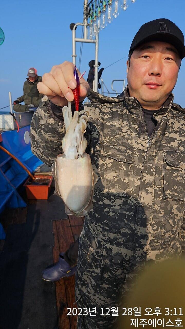 제주에이스호28갑돌이 조황입니다 문의 0103548347201038603472 (조황조행기 - 바다선상조황)