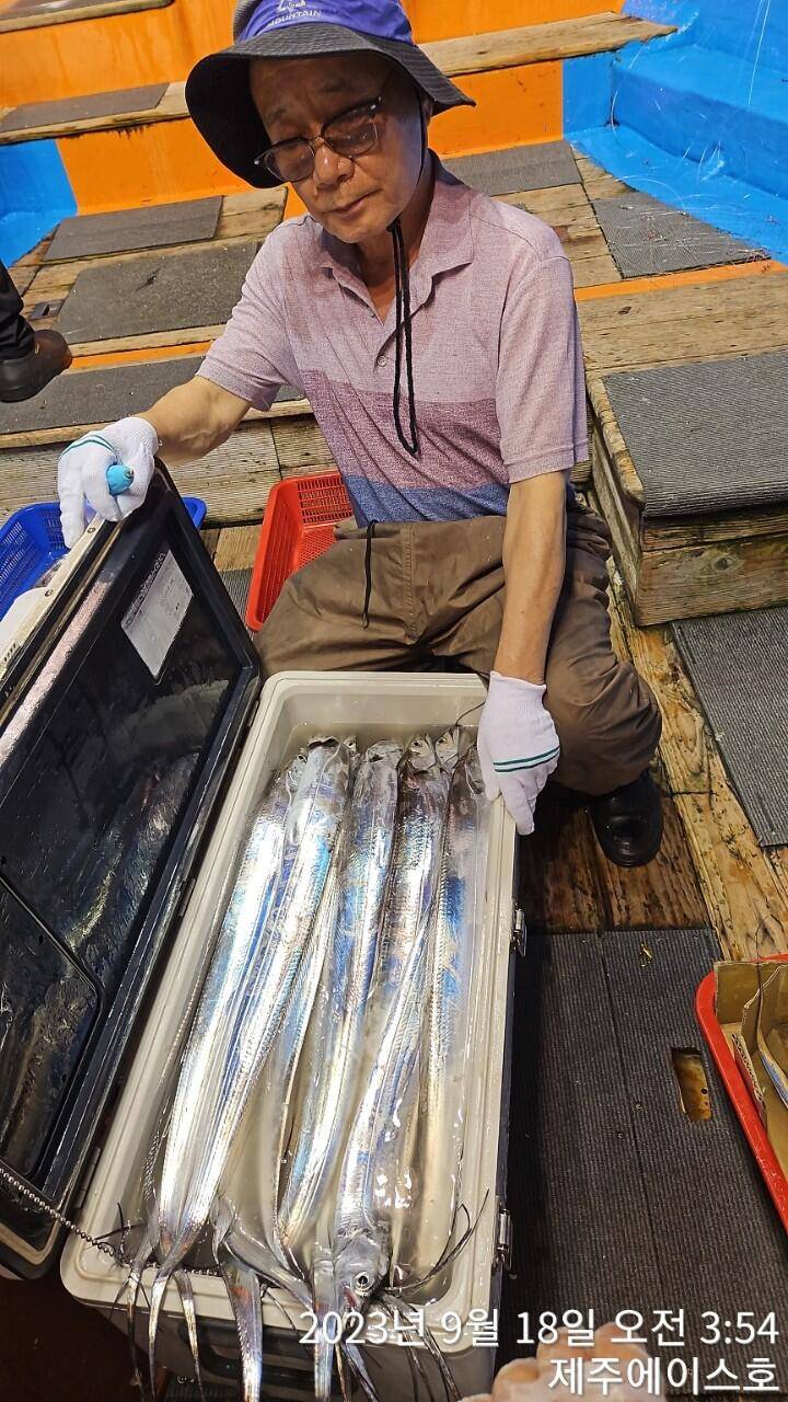 제주에이스호17일쿨러가득갈치조황입니다 문의0103548347201038603472 (조황조행기 - 바다선상조황)
