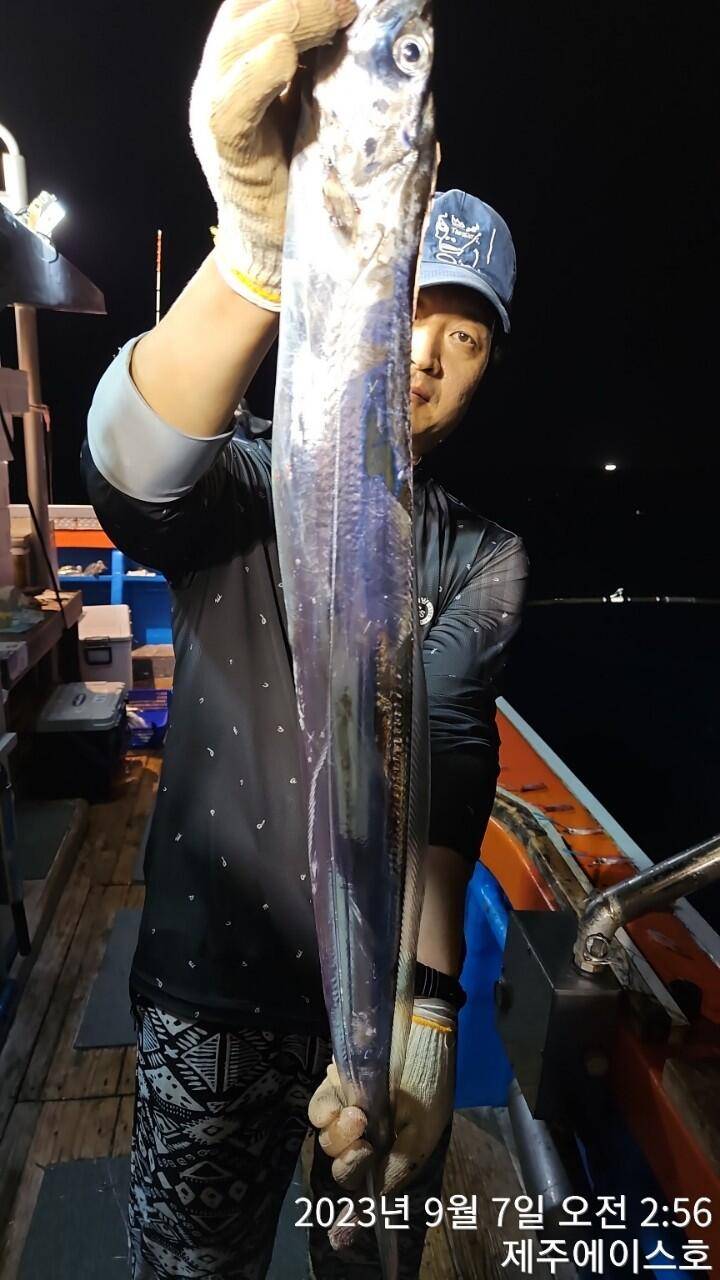 제주에이스호6일쿨러가득갈치조황입니다 문의01035483472 01038603472 (조황조행기 - 바다선상조황)