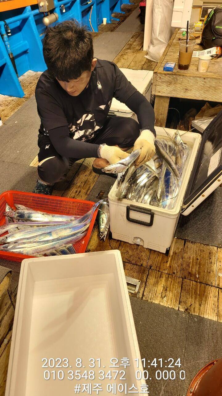 제주에이스호31일전원쿨러가득 갈치조황입니다문의0103548347201038603472 (조황조행기 - 바다선상조황)