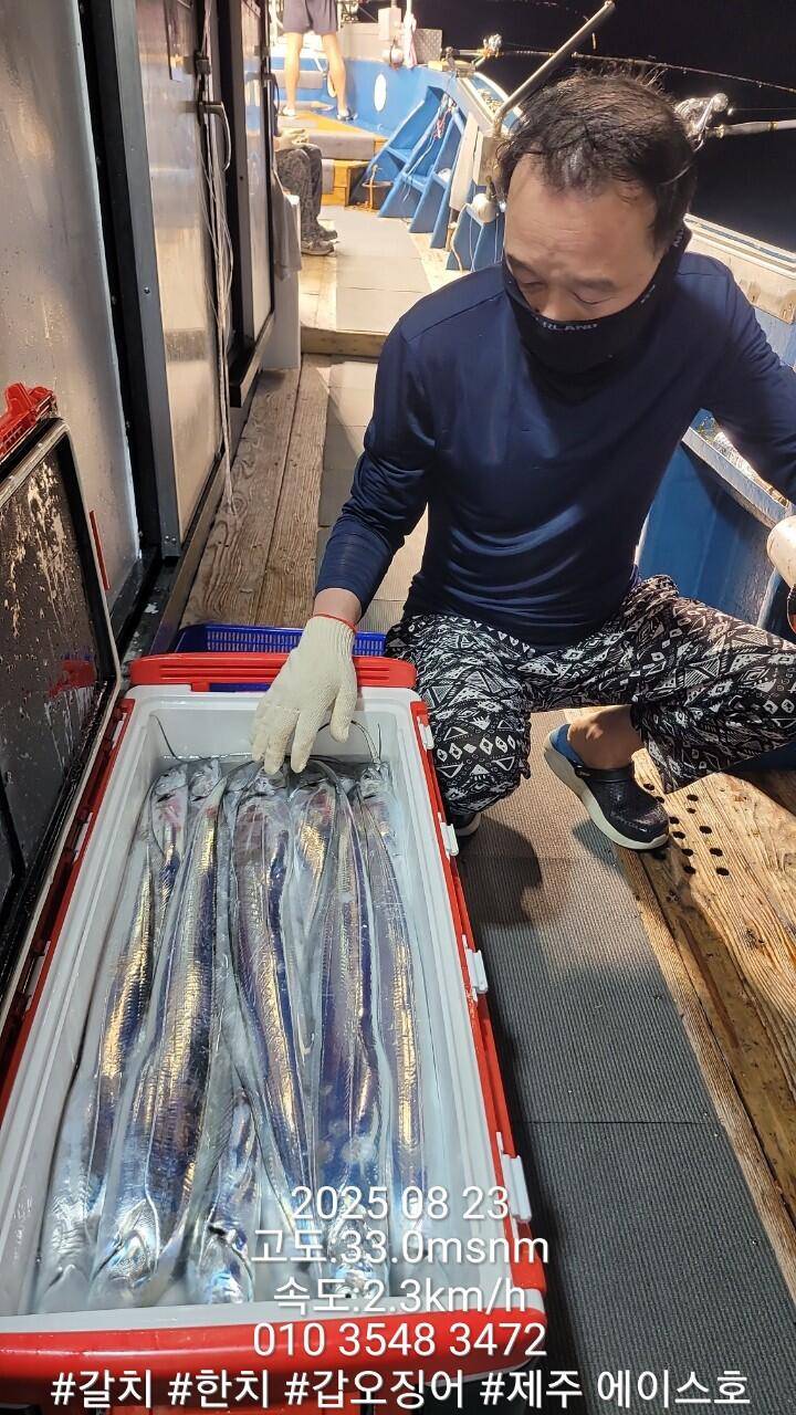 제주에이스호8월22일제주갈치조황입니다010 35483472010 3860 3472977톤22인승12석운전좌석봉돌투등기장착 청결은보장 (조황조행기 - 바다선상조황)
