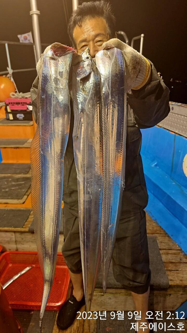주에이스호8일갈치가 풍년입니다문의01035483472 01038603472 (조황조행기 - 바다선상조황)