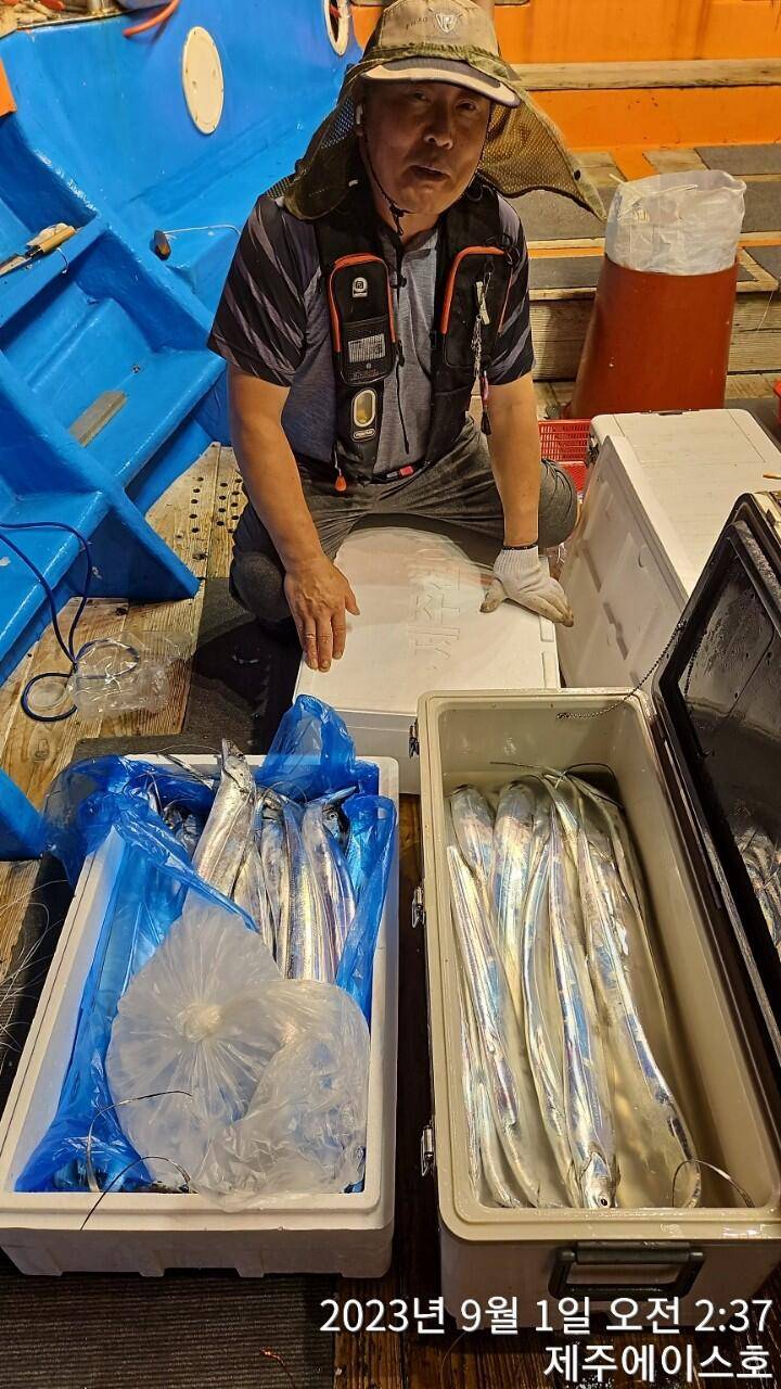 제주에이스호31일전원쿨러가득 갈치조황입니다문의0103548347201038603472 (조황조행기 - 바다선상조황)